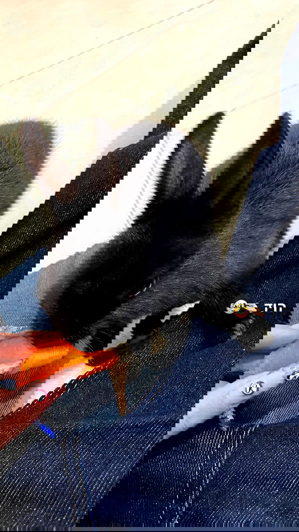 efrat_elmalich efrat_elmalich archive image