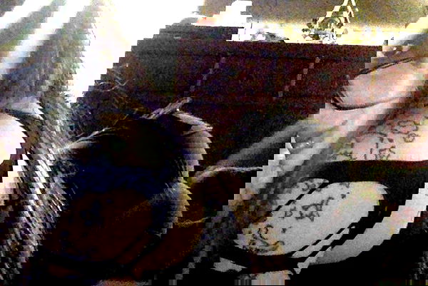 zommmbri zommmbri archive image