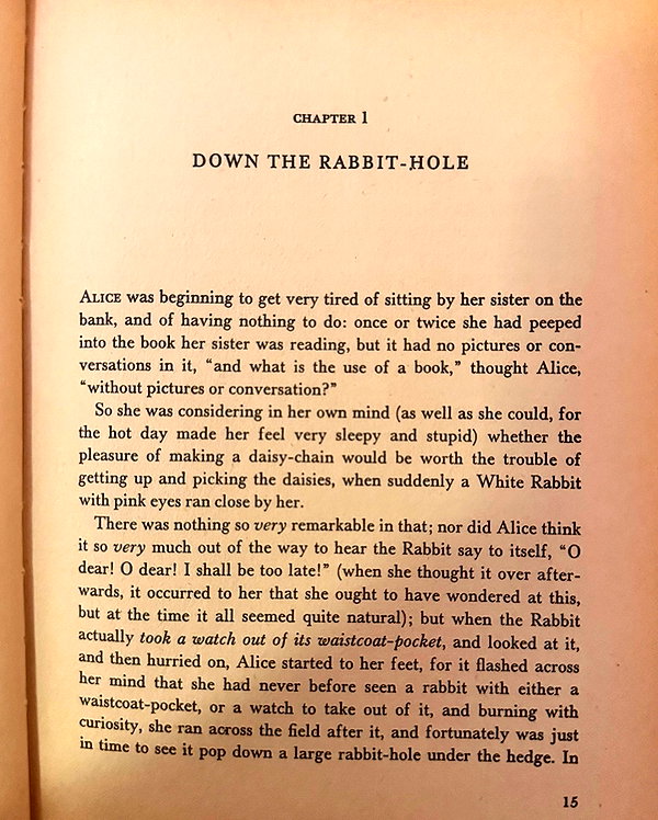 elizabethcampbelljones instagram image archive image