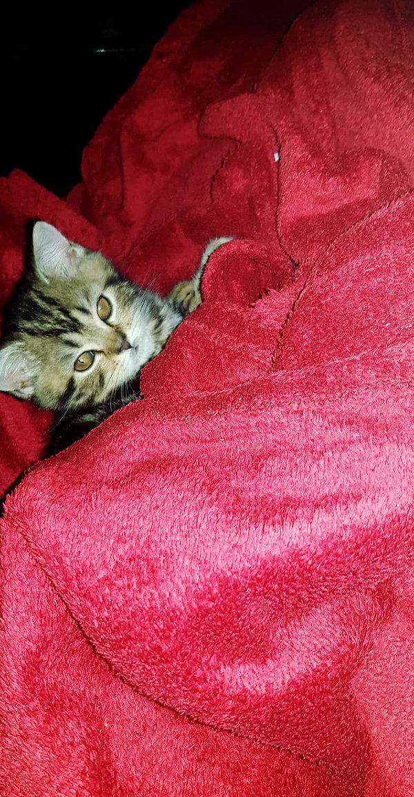 nicakitty instagram image archive image