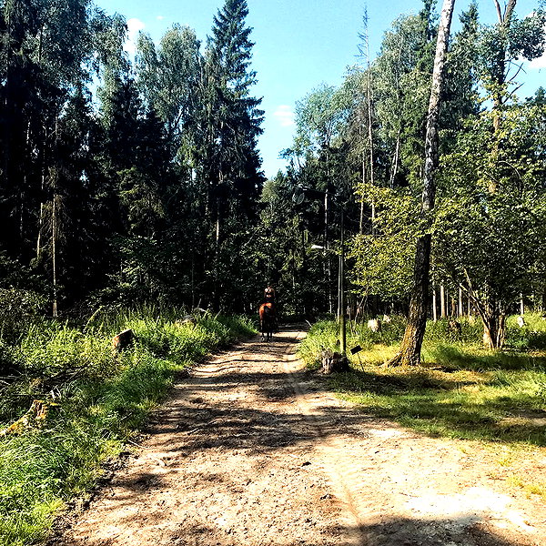 kafelnikova_a instagram image archive image