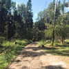 kafelnikova_a Altpins Profile Picture