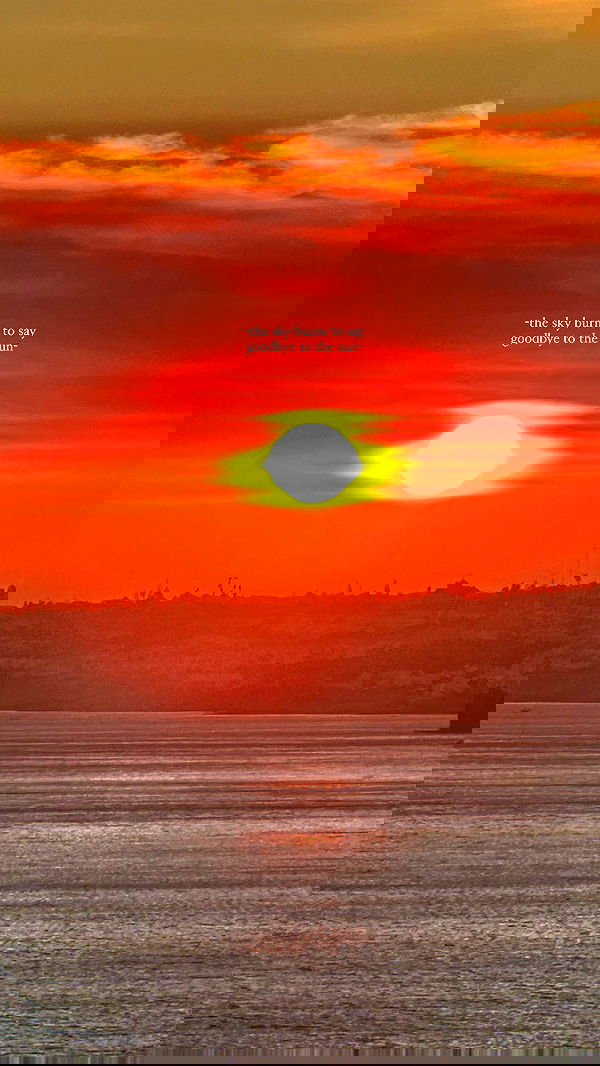 taylor.creeden taylor.creeden archive image