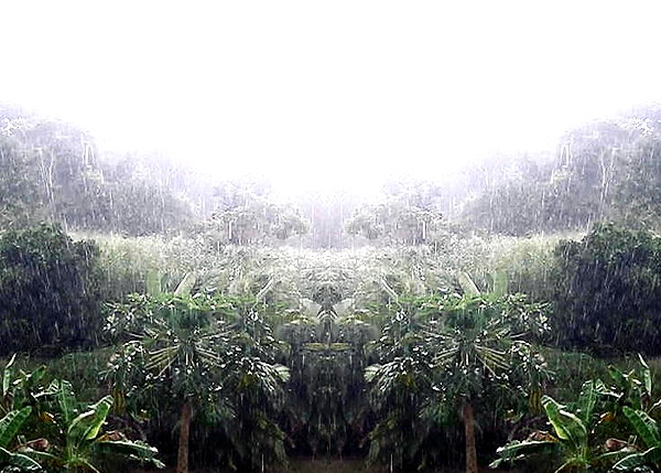 lolontlia instagram image archive image