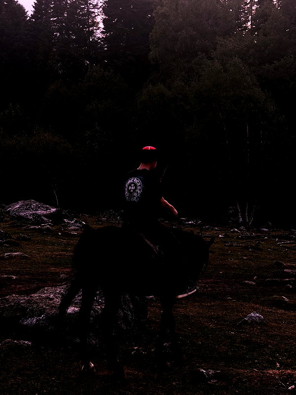 aseynat0r instagram image archive image