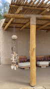 sonia_litvanchuk Altpins Profile Picture