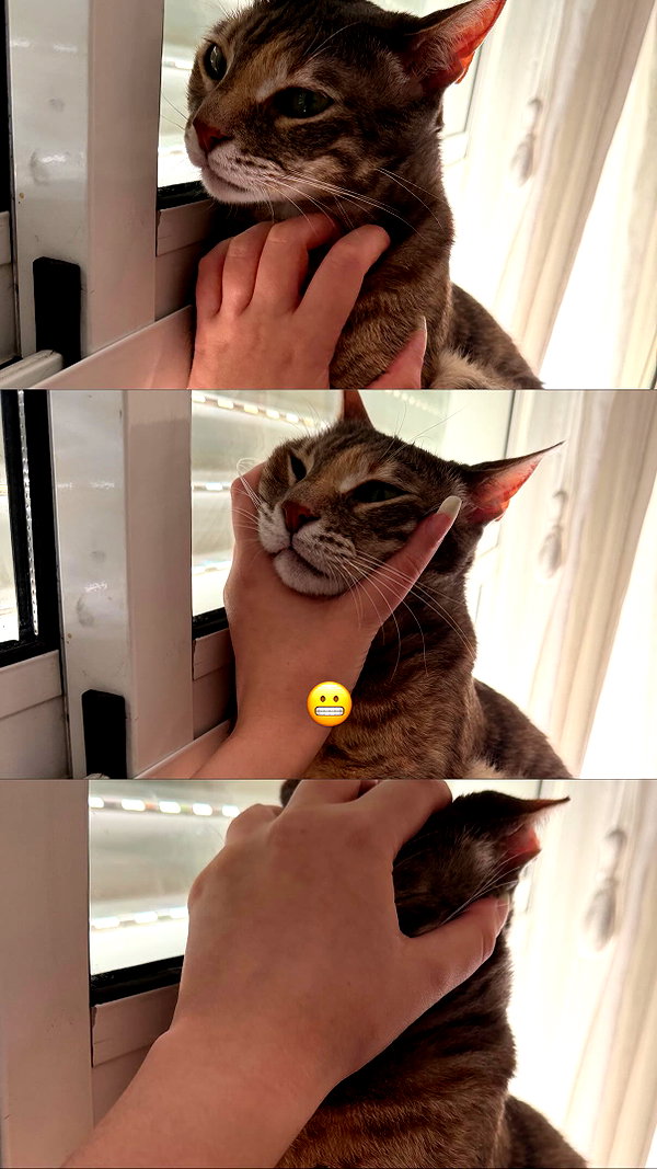 Archived image from @notchicore on Instagram