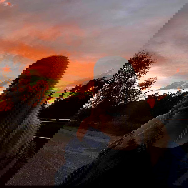 annfigmax image ~ Altpins