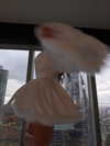 alishevs Altpins Profile Picture