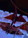 protheme Altpins Profile Picture
