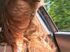 anesa.zm Altpins Profile Picture