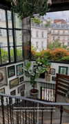 ayguldavlletova Altpins Profile Picture