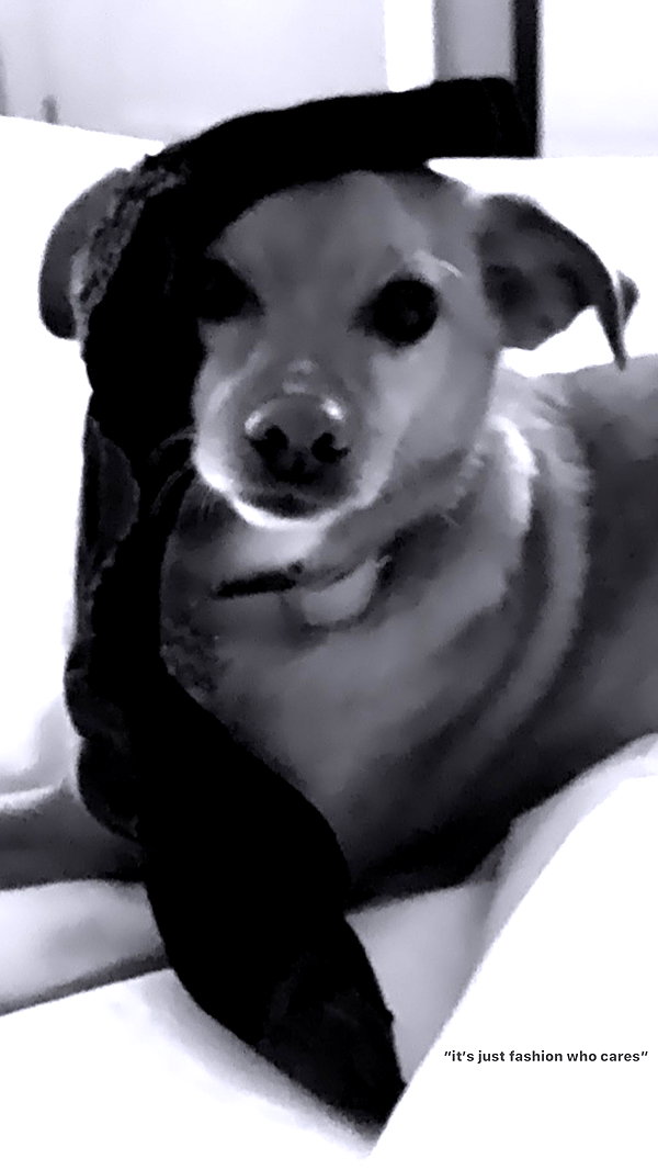 arianagrande instagram image archive image