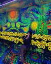 quenhi.phamm Altpins Profile Picture