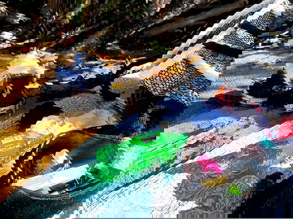 mosssaico mosssaico archive image