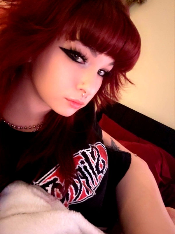 soupikitty archive image