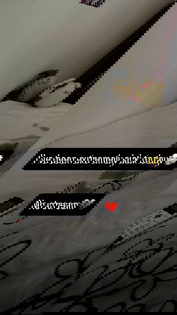 chibinekopurr chibinekopurr archive image