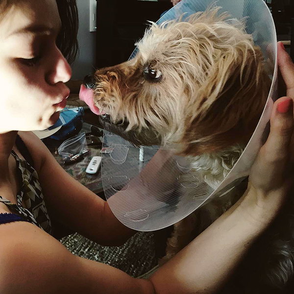 alexandradaddario instagram image archive image