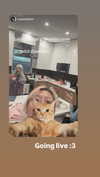 saekkico Altpins Profile Picture