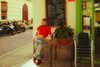 _broock_ Altpins Profile Picture