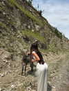 tsarbayeva Altpins Profile Picture