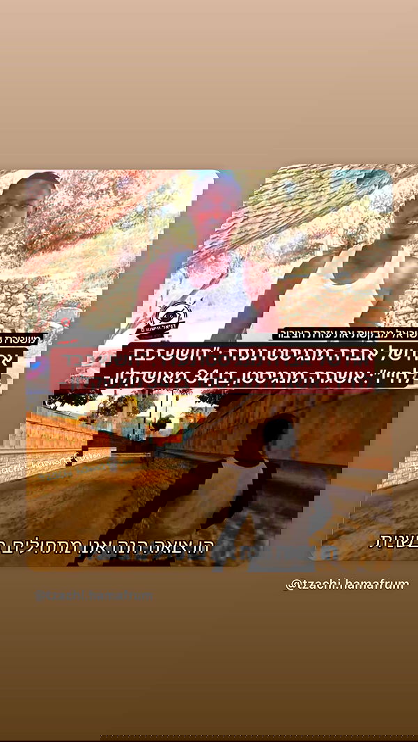 tairmar tairmar archive image