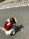 hhh.e_c.v Altpins Profile Picture