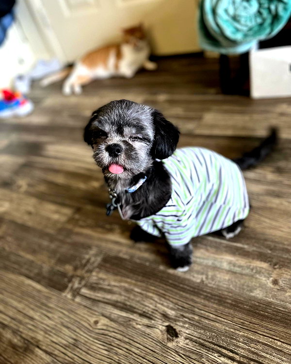 ohheyanastasia instagram image archive image