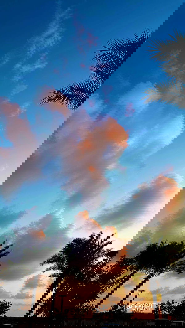 taylor.creeden taylor.creeden archive image