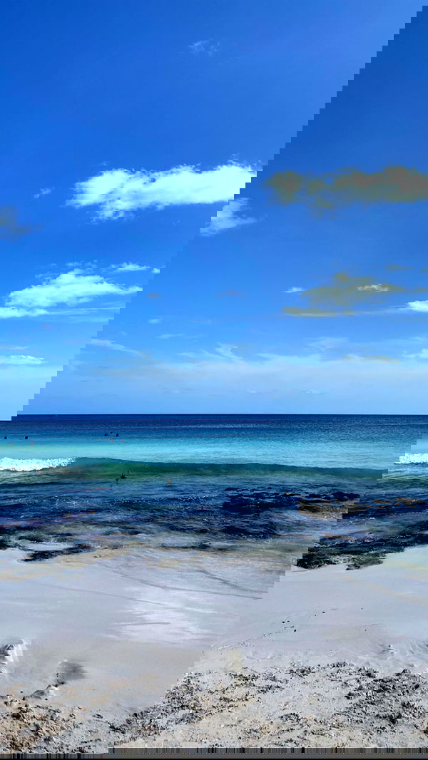 manjolamuriqi manjolamuriqi archive image