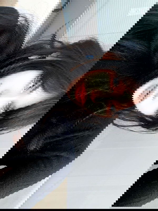 moonliliaght moonliliaght archive image