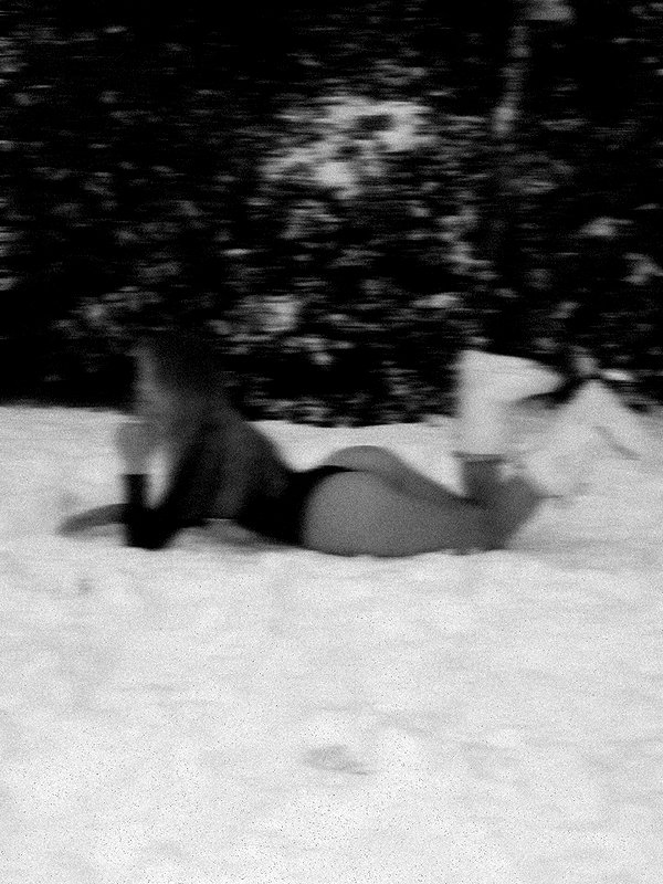 surfsterre instagram image archive image