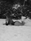 surfsterre Altpins Profile Picture