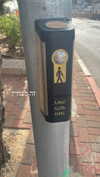 maori_cohen Altpins Profile Picture