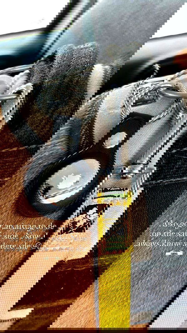 manjolamuriqi manjolamuriqi archive image