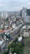 dante_yangpa Altpins Profile Picture