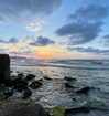mishel_d_ Altpins Profile Picture