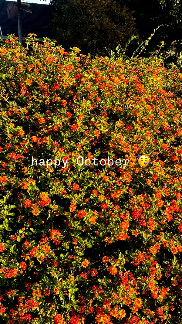 kieraplease instagram image archive image