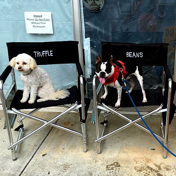 camimendes instagram image archive image