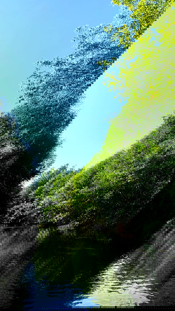 nyityam nyityam archive image