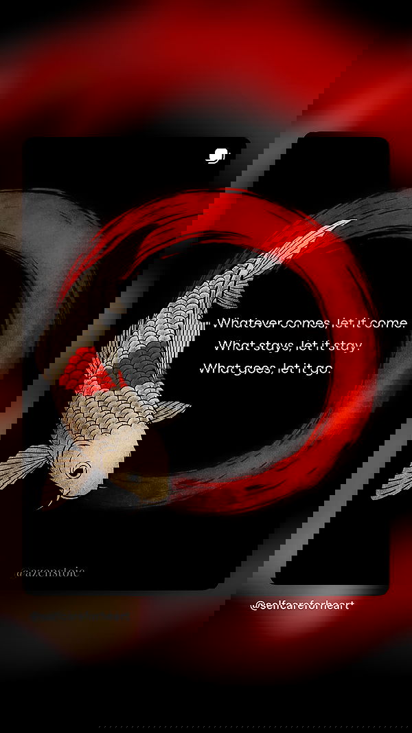 strawberryshanz strawberryshanz archive image