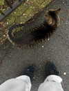 mollieruck Altpins Profile Picture