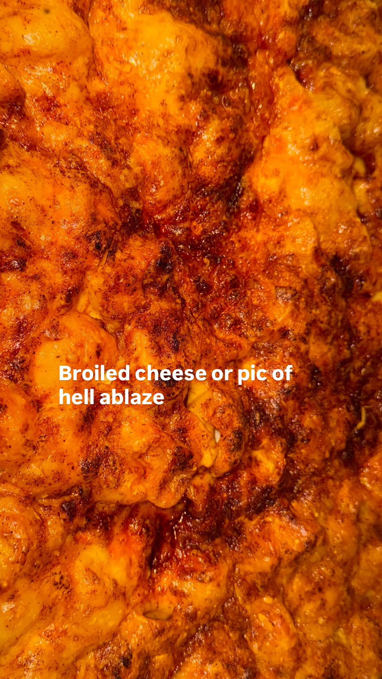 haylujan instagram image archive image