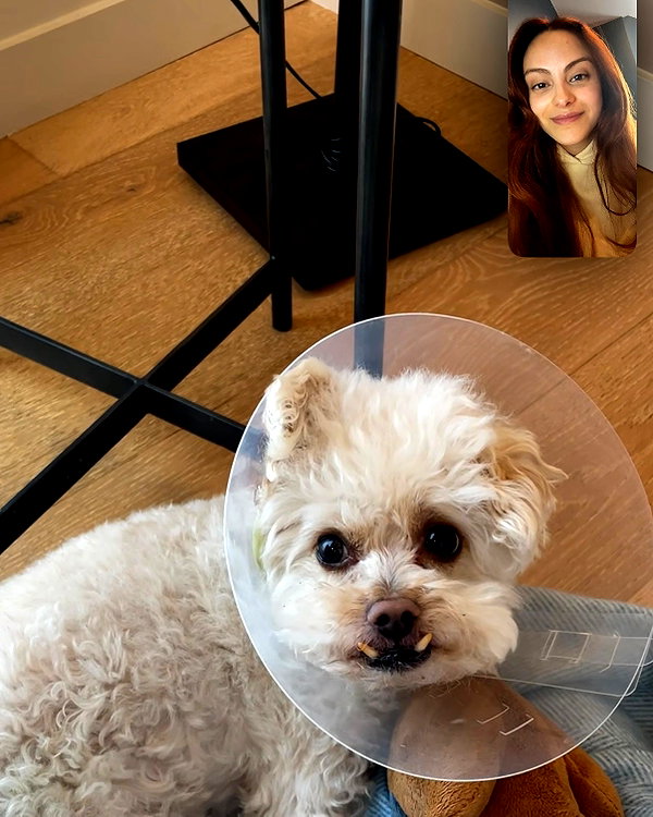 camimendes instagram image archive image