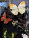 melanin__p Altpins Profile Picture