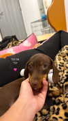 maya.keyy Altpins Profile Picture