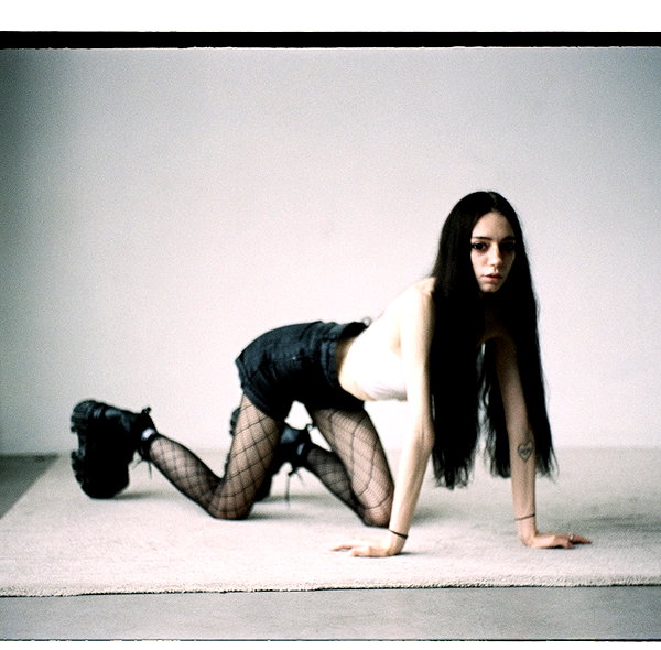 amanitalis instagram image archive image