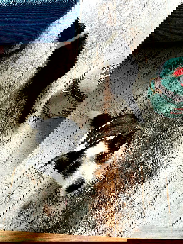 kitty.elliss kitty.elliss archive image