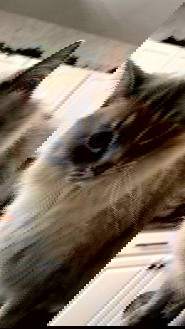 zommmbri zommmbri archive image