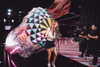 gigihadid Altpins Profile Picture